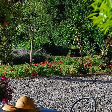 Agriturismo Coppi Rossi Torrazza  Εξωτερικό φωτογραφία