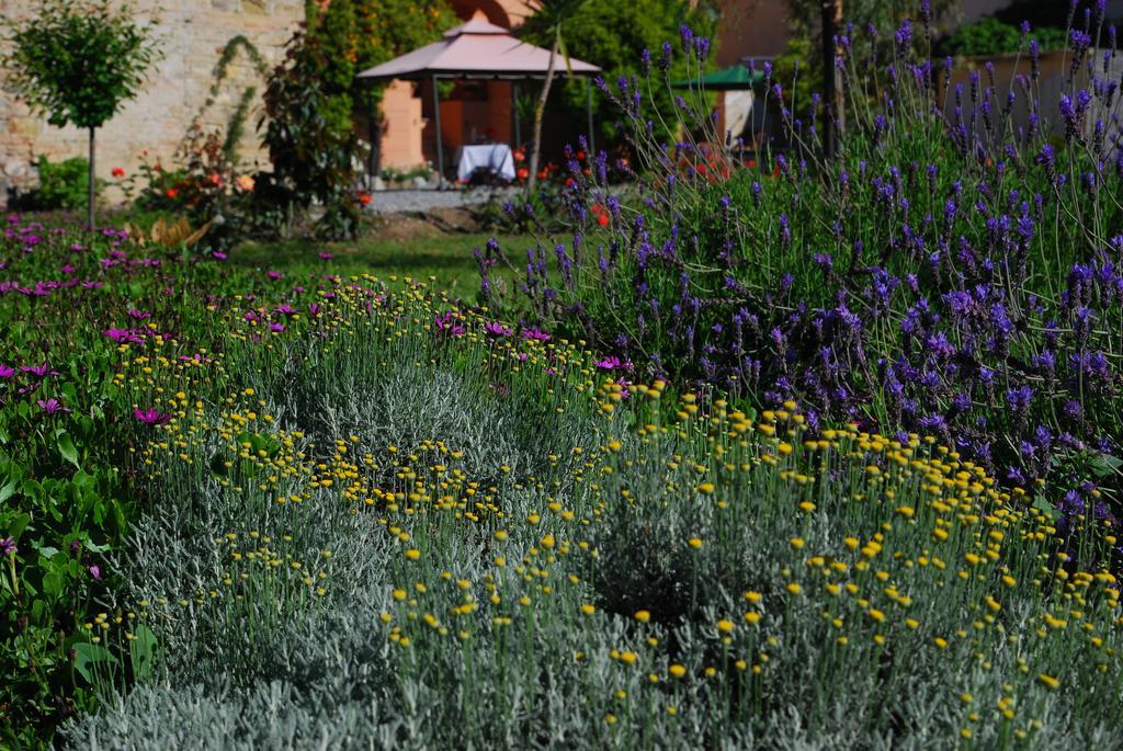Agriturismo Coppi Rossi Torrazza  Εξωτερικό φωτογραφία