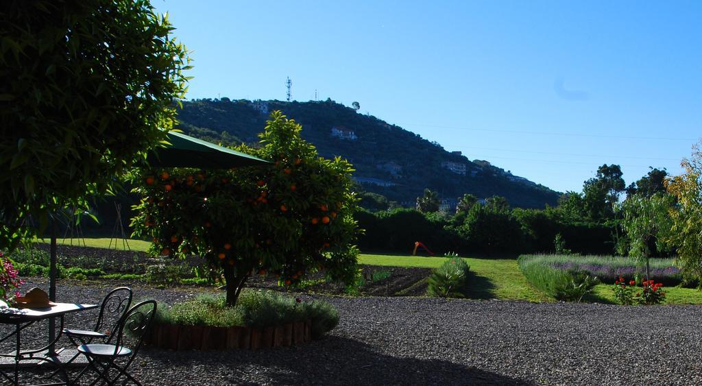 Agriturismo Coppi Rossi Torrazza  Εξωτερικό φωτογραφία